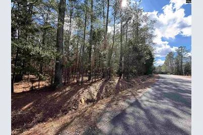 00 Ruby Riser Road #110, Batesburg, SC 29006 - Photo 1