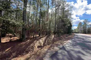 00 Ruby Riser Rd, Batesburg, SC 29006 - Photo 1