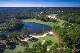 204 Sapphire Gem Ln, Elgin, SC 29045 - Photo 46