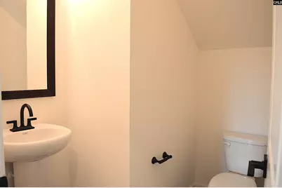 120 Locomotive (Lot 05) Lane, Irmo, SC 29063 - Photo 12