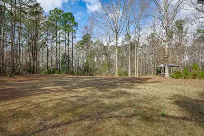 264 Lewie Road, Gilbert, SC 29054 - Photo 34