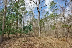 264 Lewie Rd, Gilbert, SC 29054 - Photo 36