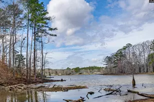 264 Lewie Rd, Gilbert, SC 29054 - Photo 40