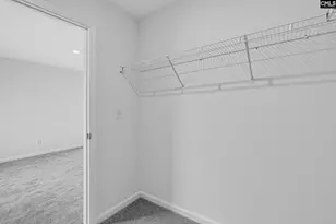 721 Ben Gunn Run, Gilbert, SC 29054 - Photo 54