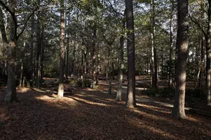 721 Ben Gunn Run, Gilbert, SC 29054 - Photo 24