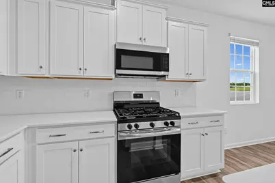 721 Ben Gunn Run, Gilbert, SC 29054 - Photo 16