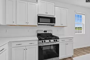721 Ben Gunn Run, Gilbert, SC 29054 - Photo 16