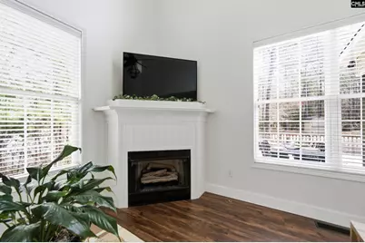 125 Mary Drive, Chapin, SC 29063 - Photo 14