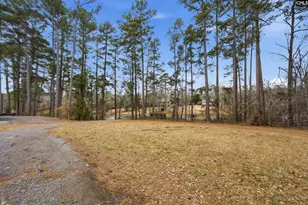 125 Mary Dr, Chapin, SC 29063 - Photo 78