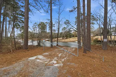 125 Mary Drive, Chapin, SC 29063 - Photo 78