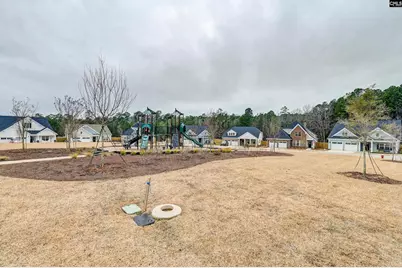 2708 Pawtucket Way, Chapin, SC 29036 - Photo 56