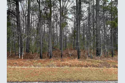 0 Saint Phillips Chruch Road, Prosperity, SC 29127 - Photo 4