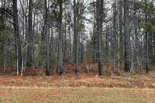 0 Saint Phillips Chruch Rd, Prosperity, SC 29127 - Photo 4