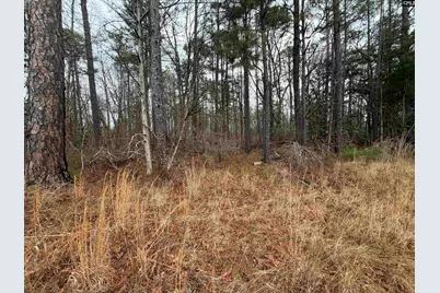 0 Saint Phillips Chruch Road, Prosperity, SC 29127 - Photo 1
