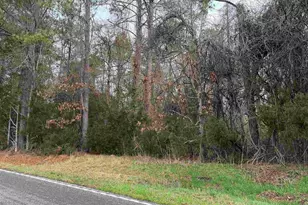 0 Saint Phillips Chruch Rd, Prosperity, SC 29127 - Photo 2