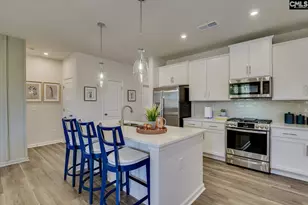 621 Basalt Ct, Chapin, SC 29036 - Photo 18