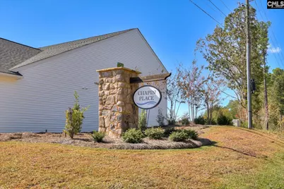 621 Basalt Court, Chapin, SC 29036 - Photo 4