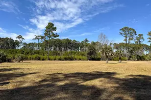 8384 Palmetto Rd, Edisto Island, SC 29438 - Photo 1