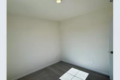570 Griffon Drive, Chapin, SC 29036 - Photo 16