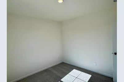 570 Griffon Drive, Chapin, SC 29036 - Photo 10