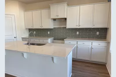 570 Griffon Drive, Chapin, SC 29036 - Photo 2