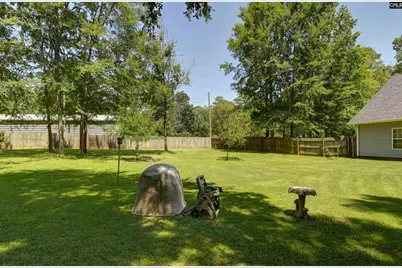 366 Gallery Cliff Drive, Chapin, SC 29036 - Photo 24