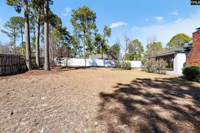 109 Branch Hill Drive, Elgin, SC 29045 - Photo 6