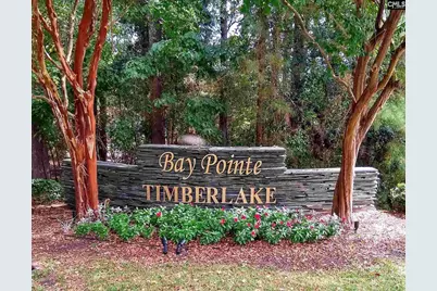 104 Bay Pointe Drive, Chapin, SC 29036 - Photo 1