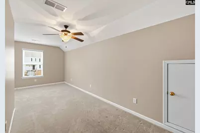 134 Walkbridge Way, Chapin, SC 29036 - Photo 24