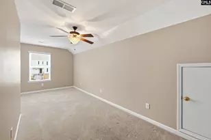 134 Walkbridge Way, Chapin, SC 29036 - Photo 24