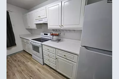 217 Twin Eagles Drive, Columbia, SC 29203 - Photo 4