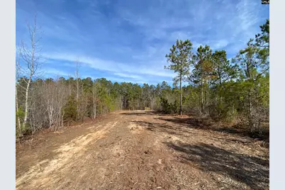 900 Piney Wood Road, Saluda, SC 29138 - Photo 4