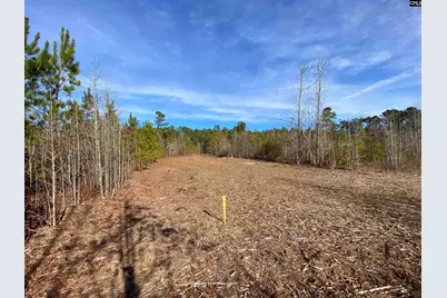 900 Piney Wood Road, Saluda, SC 29138 - Photo 6