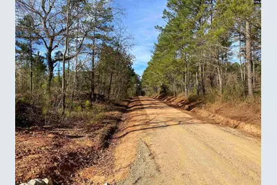 900 Piney Wood Road, Saluda, SC 29138 - Photo 22