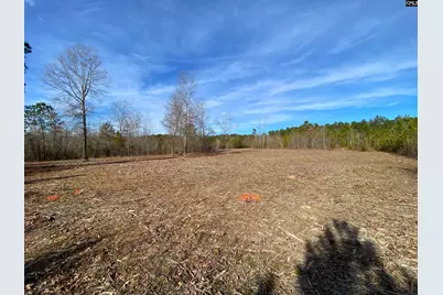 900 Piney Wood Road, Saluda, SC 29138 - Photo 10