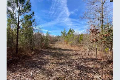 900 Piney Wood Road, Saluda, SC 29138 - Photo 14