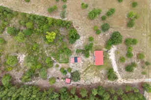 2252 Old Georgetown Rd, Cassatt, SC 29032 - Photo 30