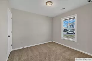 57 Brazilian Dr, Elgin, SC 29045 - Photo 14