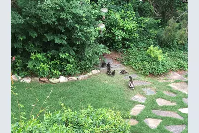 310 Aiken Hunt Circle, Columbia, SC 29223 - Photo 84