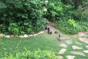 310 Aiken Hunt Cir, Columbia, SC 29223 - Photo 84