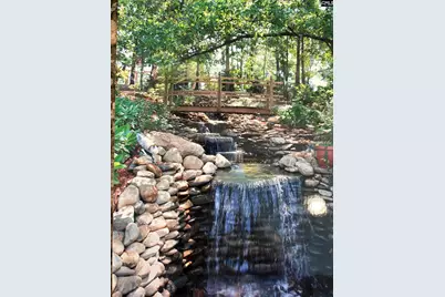 310 Aiken Hunt Circle, Columbia, SC 29223 - Photo 68