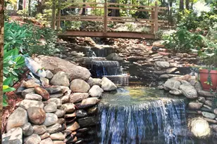 310 Aiken Hunt Cir, Columbia, SC 29223 - Photo 68