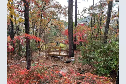 310 Aiken Hunt Circle, Columbia, SC 29223 - Photo 70