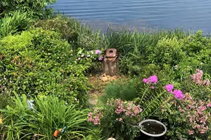 310 Aiken Hunt Cir, Columbia, SC 29223 - Photo 78