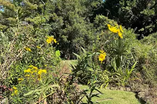 310 Aiken Hunt Cir, Columbia, SC 29223 - Photo 80