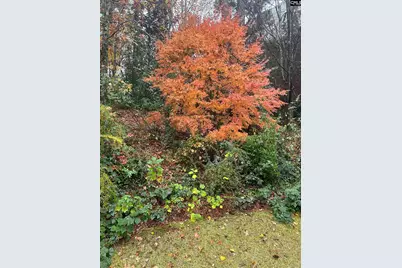 310 Aiken Hunt Circle, Columbia, SC 29223 - Photo 72