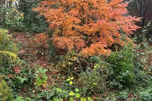 310 Aiken Hunt Cir, Columbia, SC 29223 - Photo 72