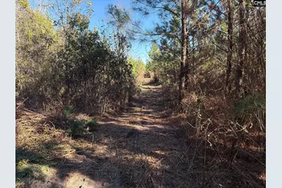 Bff II 8 Brunson Teal Road Bff II 8, Patrick, SC 29854 - Photo 10