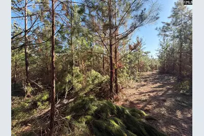 Bff II 8 Brunson Teal Road Bff II 8, Patrick, SC 29854 - Photo 6