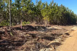 Bff II 8 Brunson Teal Road Bff II 8, Patrick, SC 29854 - Photo 1